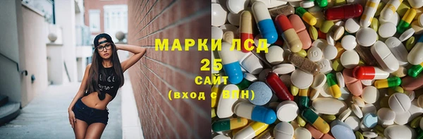 сатива Магас