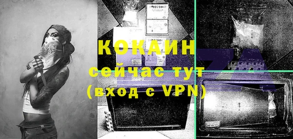 сатива Магас