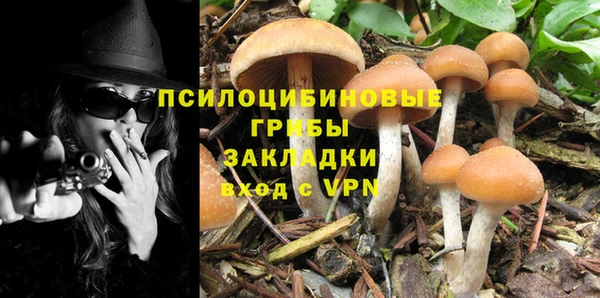 PSILOCYBIN Вязники