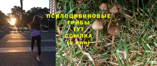 прущие крисы Майский