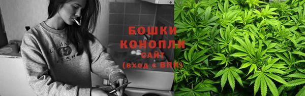 дживик Мегион