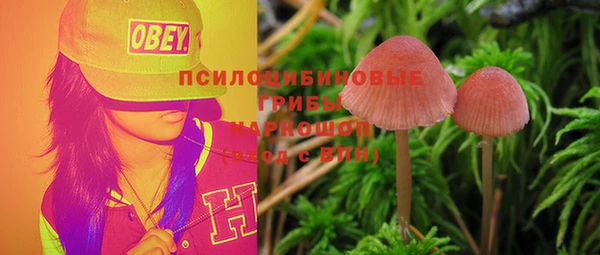 сатива Магас