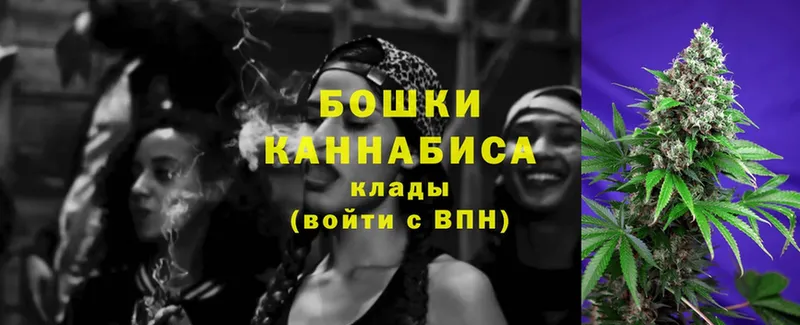 OMG как войти  Ивдель  Шишки марихуана Amnesia 